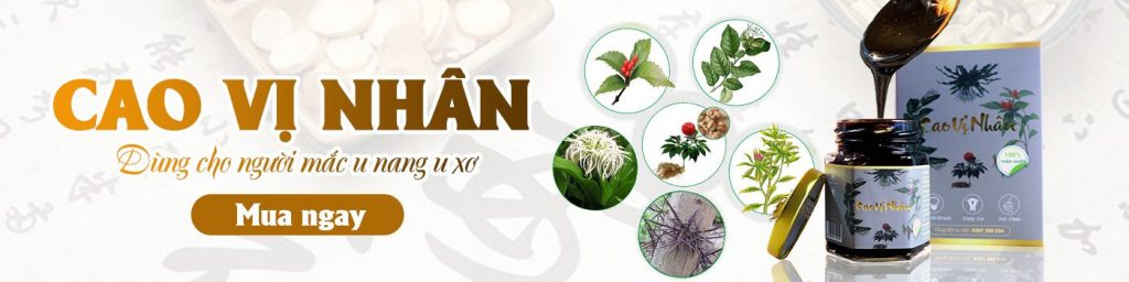 Phòng Cháy Chữa Cháy Tâm Bảo An